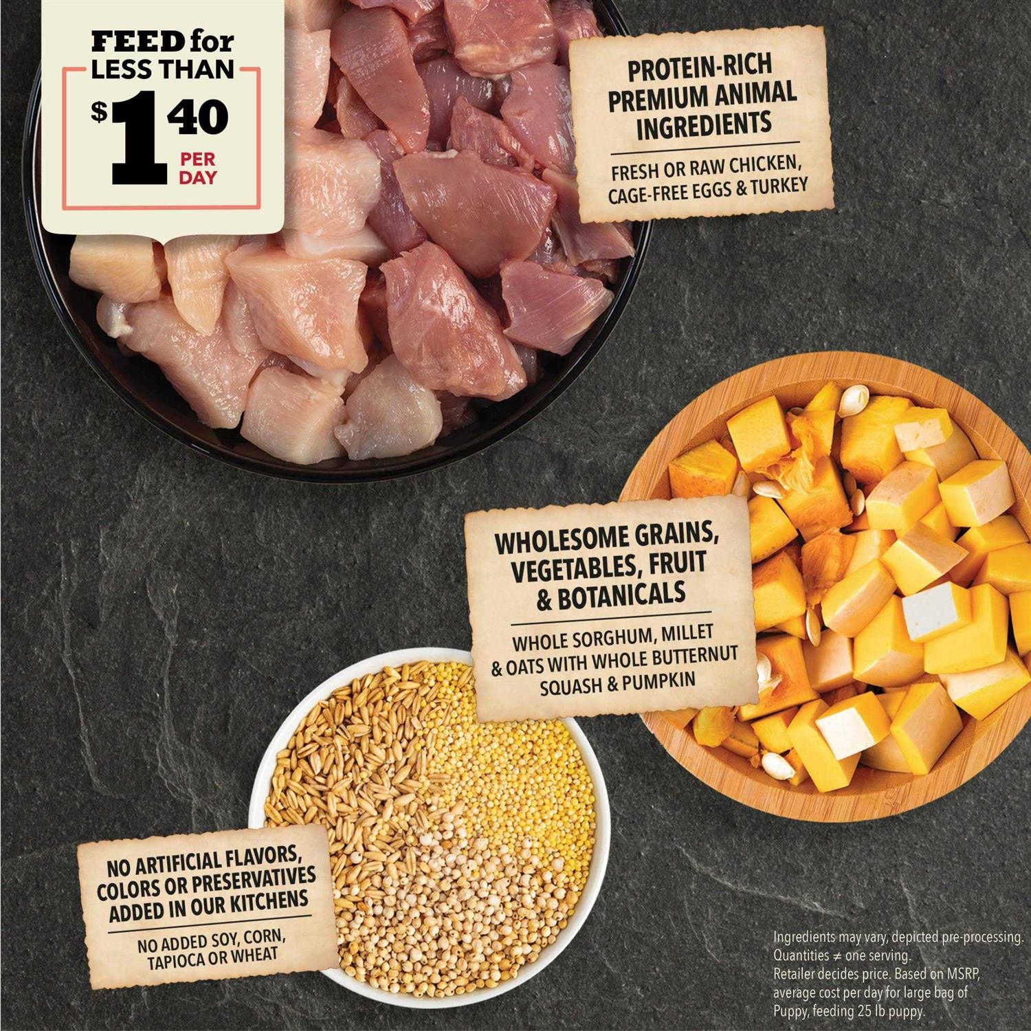 Acana Wholesome Grains Puppy Recipe Dry Dog Food - Nail Gallerys