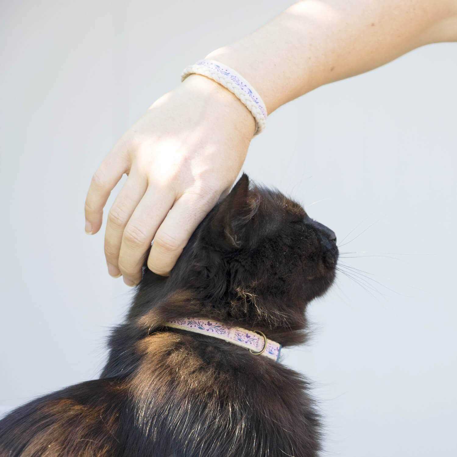 Pettsie Cat Collar Breakaway Friendship Bracelet - Nail Gallerys