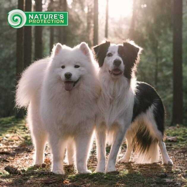 Nature’s Protection Grain Free Superior Care White Dogs Small Breed Adult Dry Dog Food - Nail Gallerys