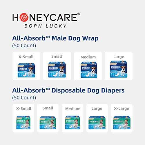 All-Absorb A26 Male Dog Wrap - Nail Gallerys