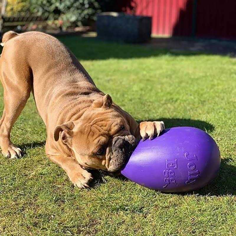 Jolly Pets Jolly Egg - Nail Gallerys