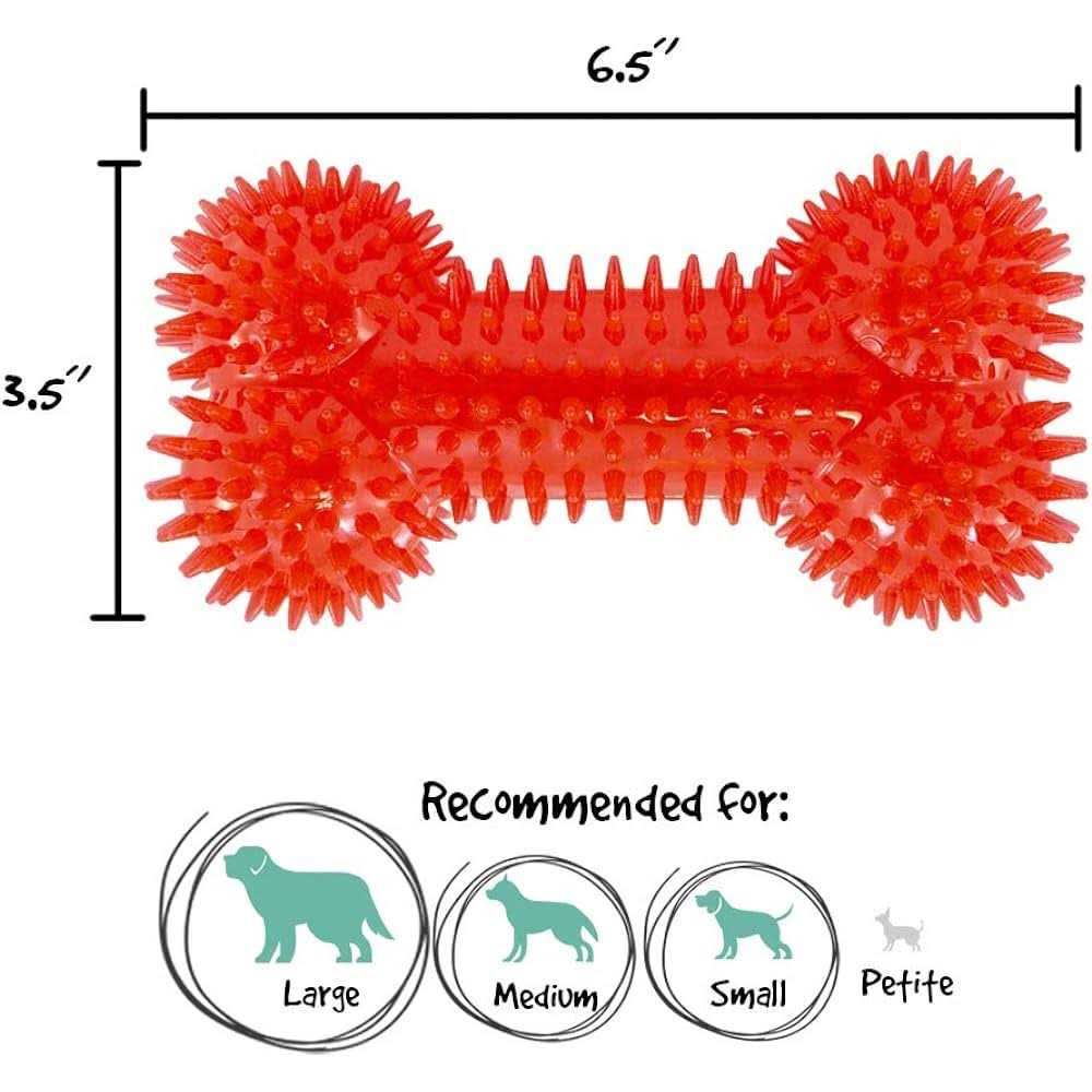 Gnawsome Squeaker Bone Dog Toy - Nail Gallerys