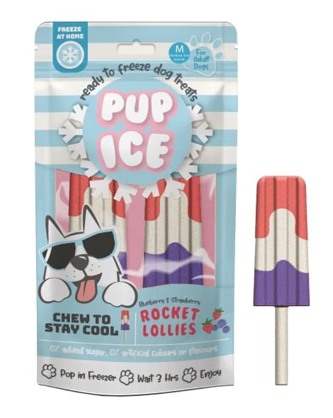 Pup Ice Rocket Lollies, 2pk - Nail Gallerys