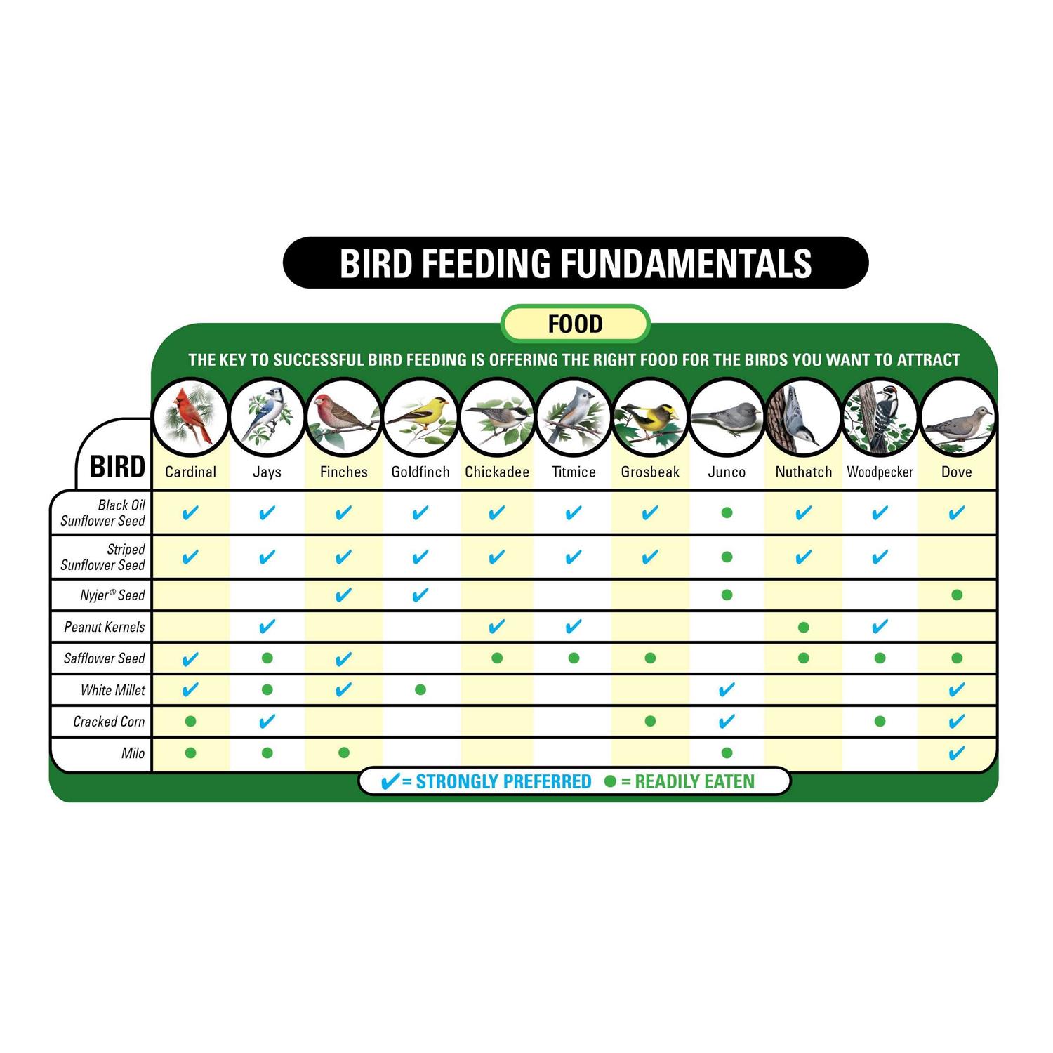 Wagner’s Farmer’s Delight Wild Bird Food with Cherry Flavor - Nail Gallerys