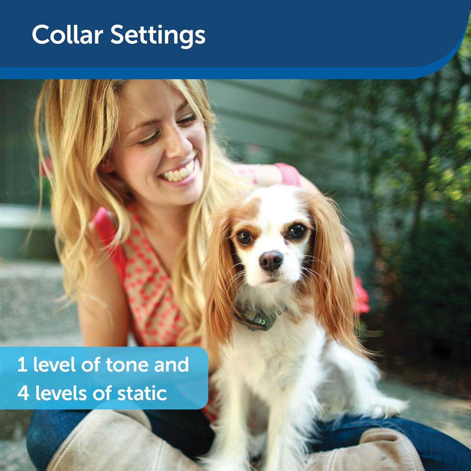 PetSafe Elite Little Dog In-Ground Fence Collar Receiver - Nail Gallerys