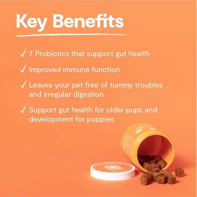 Open Farm Dog Supplement Probiotic Chews - Nail Gallerys