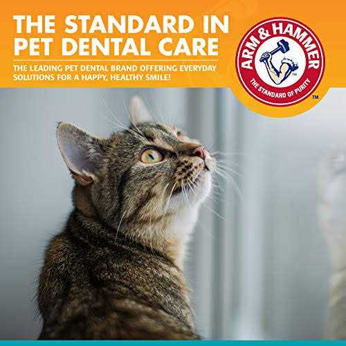 Arm & Hammer Fresh Breath Dental Kit for Cats - Nail Gallerys