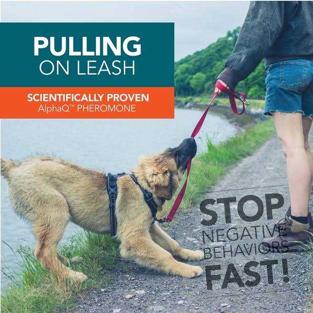 TevraPet No! No! Dogs Correction Spray - Nail Gallerys