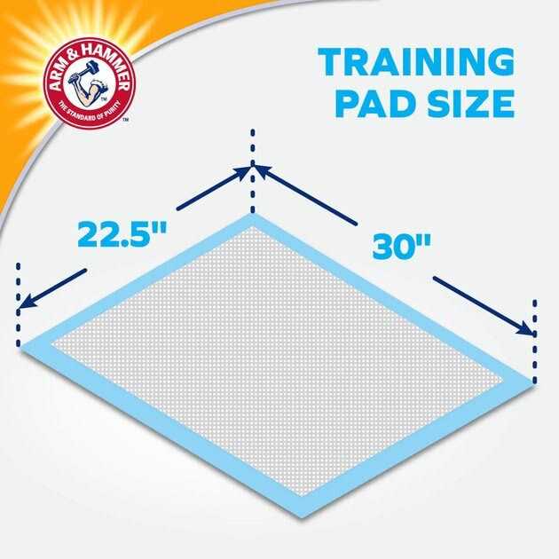 Arm & Hammer for Dogs XL Training Pads 30% Larger Coverage New & Improved Super Absorbent - Nail Gallerys