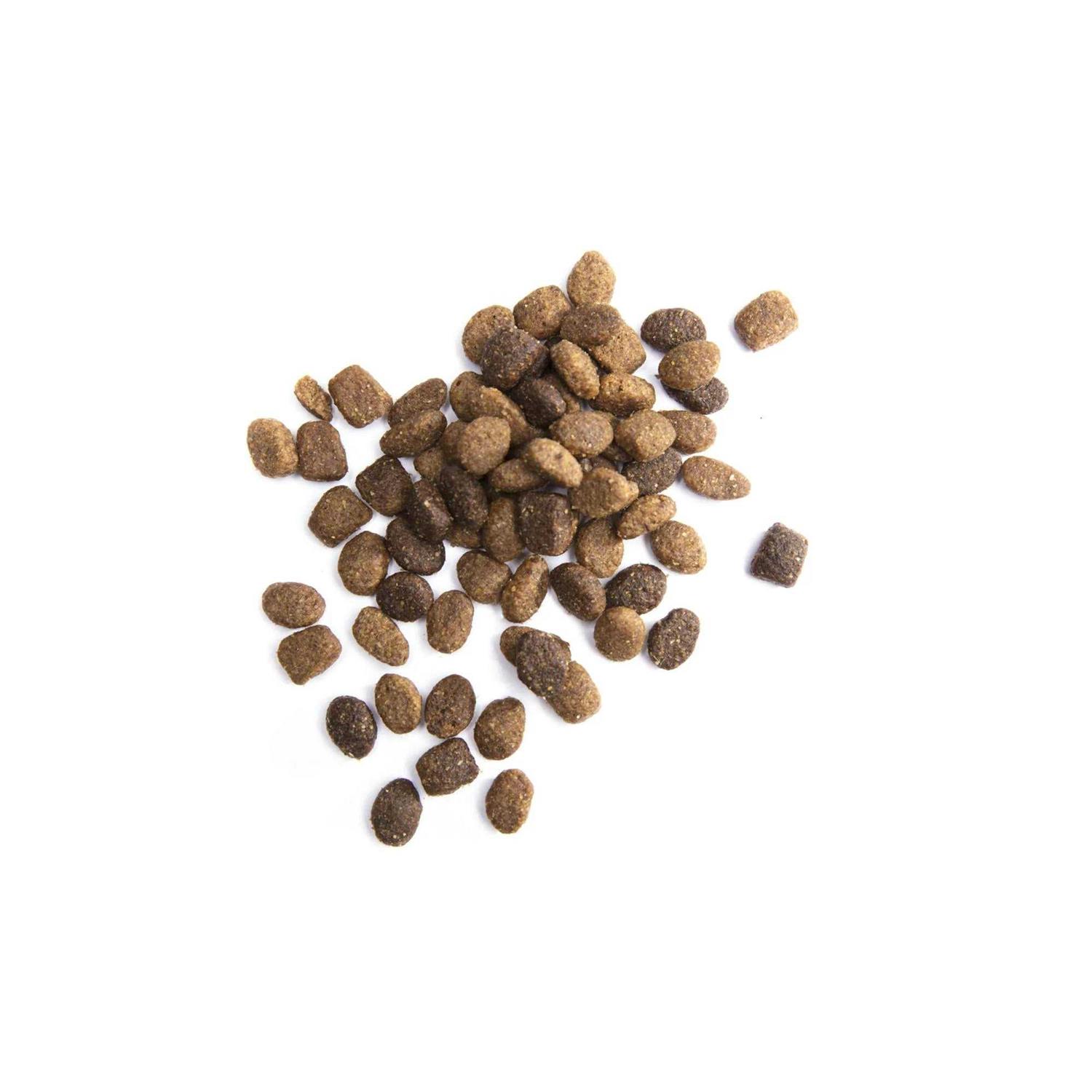 Iams Proactive Health Small & Toy Breed Smart Puppy Dry Dog Food Chicken - Nail Gallerys