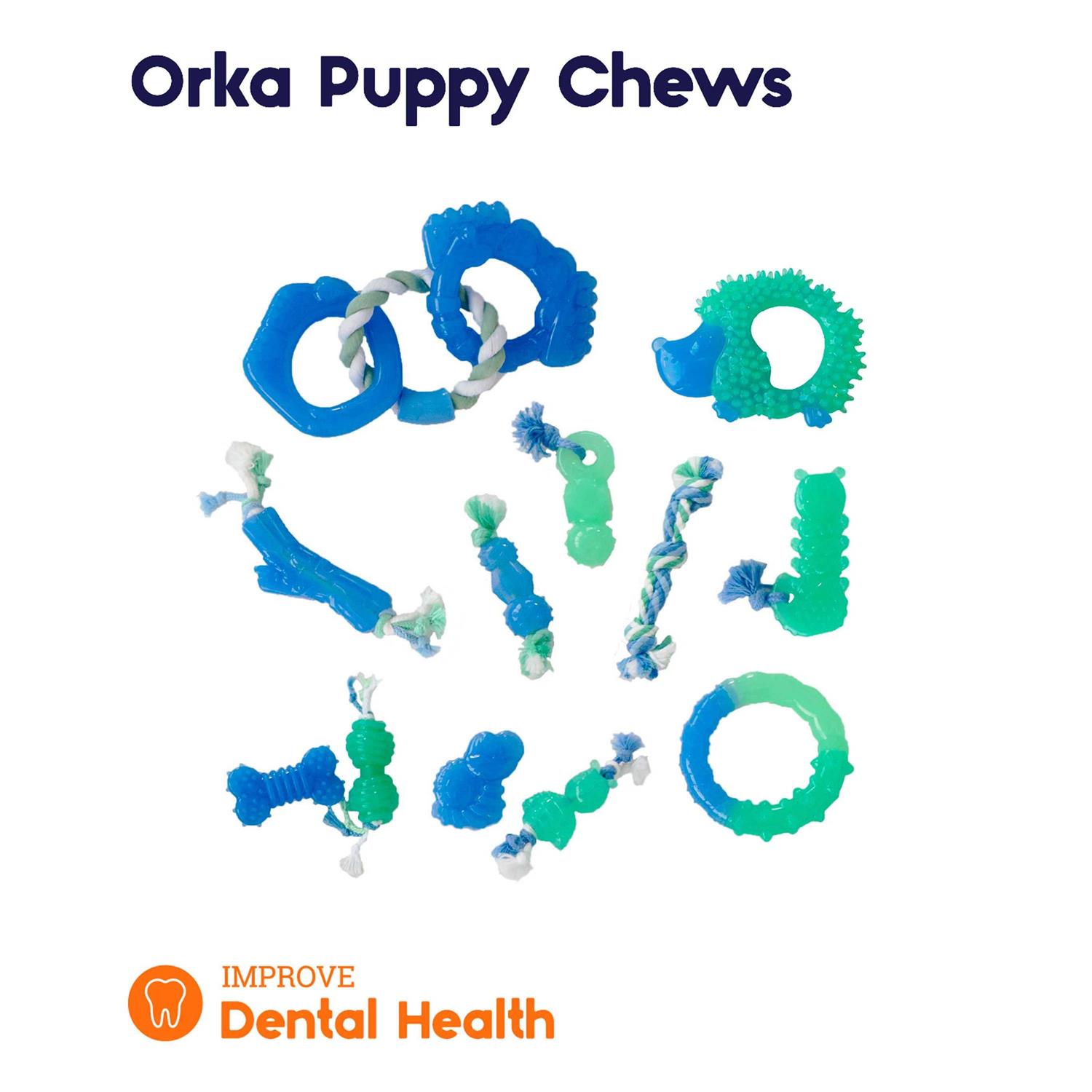 Petstages Cutie Chewie Hedgehog Dog Toy - Nail Gallerys