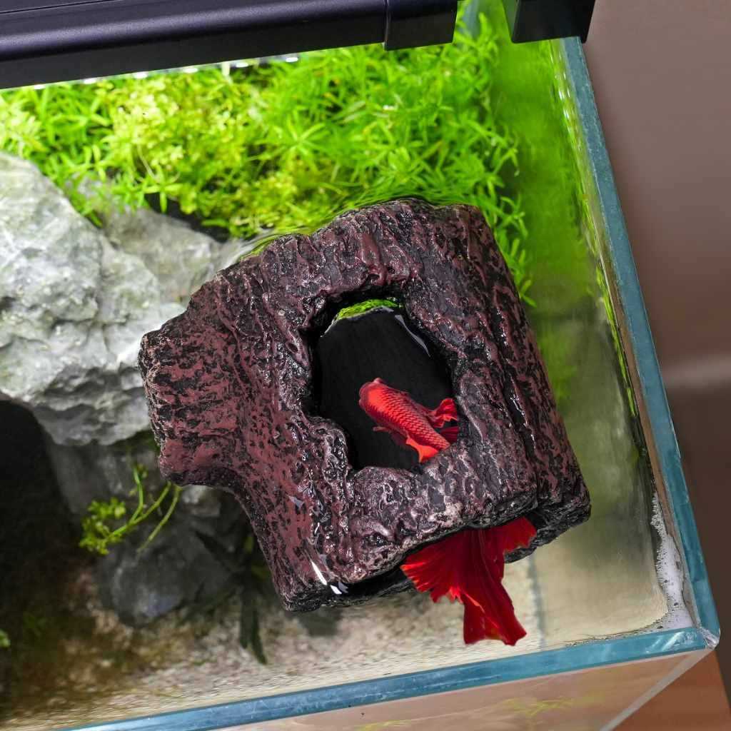 Zoo Med Betta Floating Log - Nail Gallerys