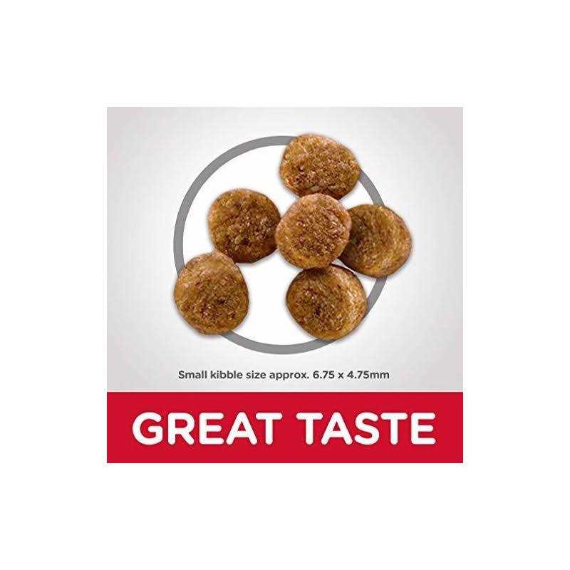 Hill’s Science Diet Adult Small Paws Light Chicken Meal & Barley Dry Dog Food - Nail Gallerys