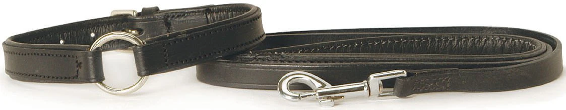 Padded Black Leather Dog Collars - Nail Gallerys