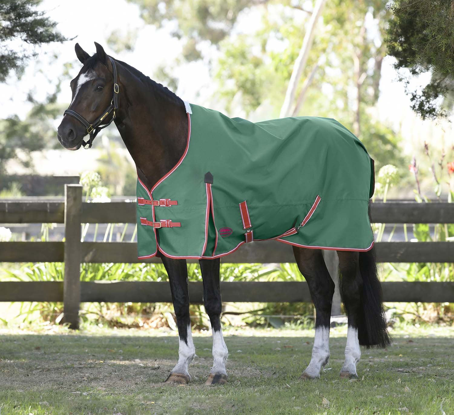 WeatherBeeta ComFITec Prelim Standard Neck Horse Turnout Blanket, Medium Weight - Nail Gallerys