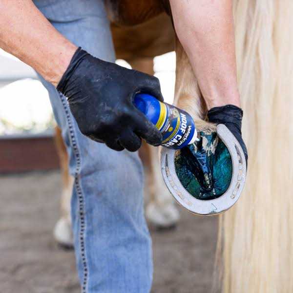Vetericyn Mobility Hoof Care - Nail Gallerys