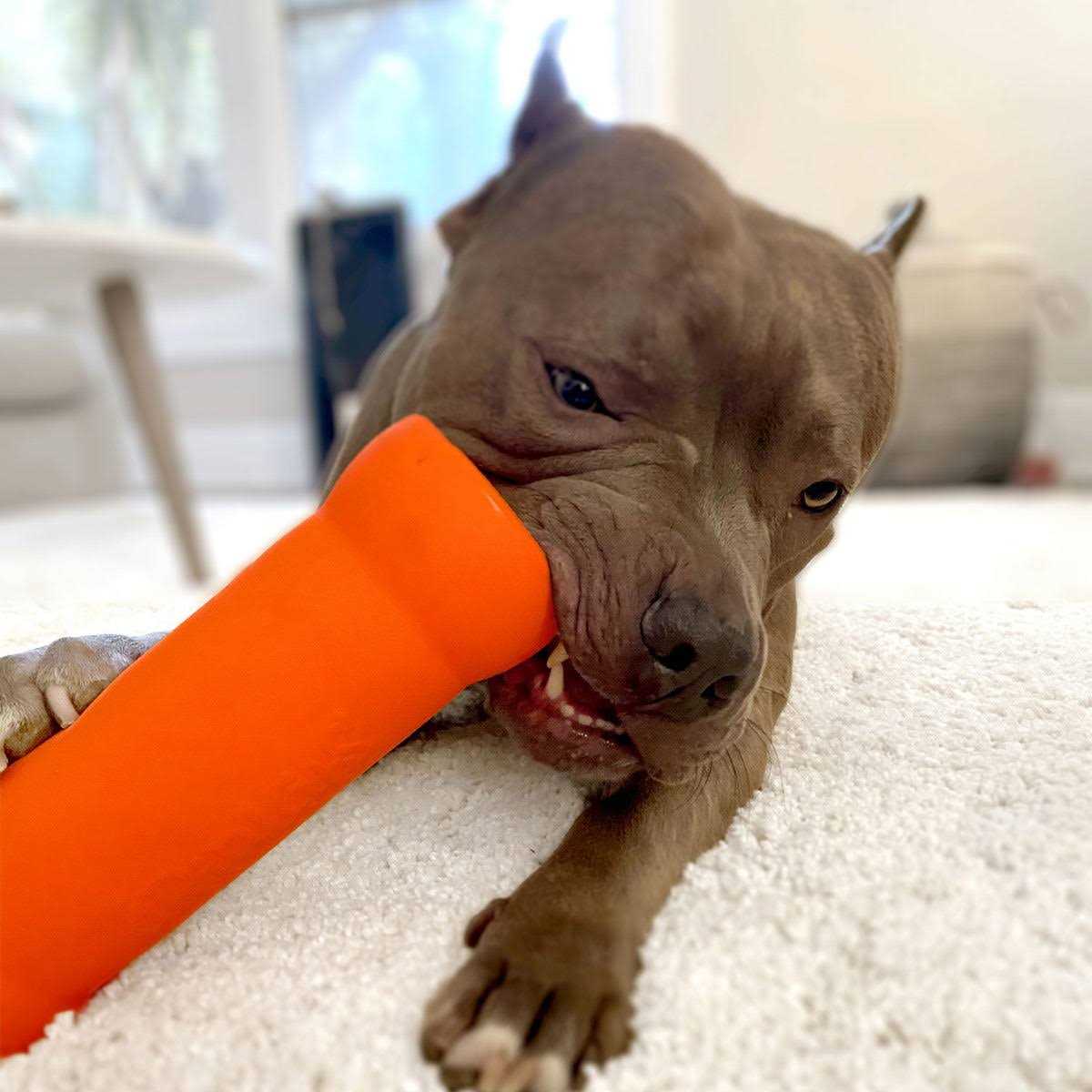 Ruff Dawg Crinkit Dog Toy - Nail Gallerys