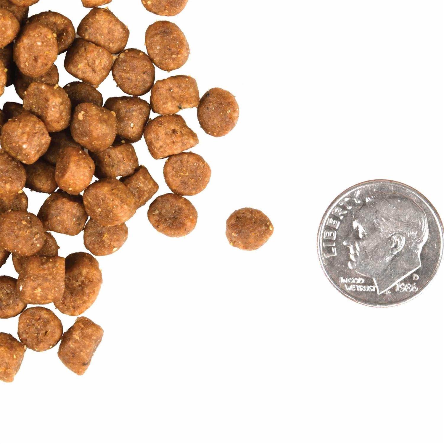 Fromm Gold Cat Food - Nail Gallerys