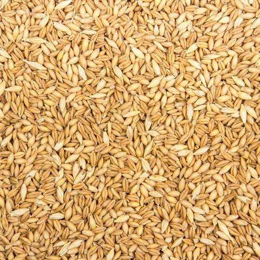 Azure Market Organics Whole Barley Animal Feed Organic - Nail Gallerys