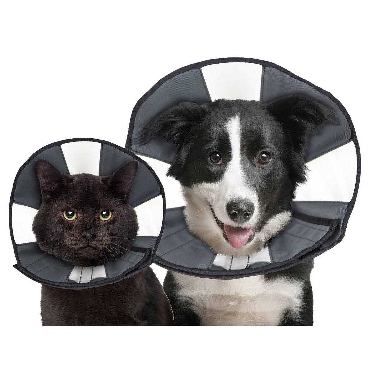 ZenPet Procone Soft Recovery Collar - Nail Gallerys