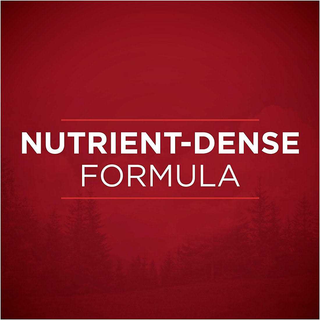 Purina ONE Natural Gravy Wet Dog Food Variety Pack SmartBlend True Instinct Tender Cuts - Nail Gallerys