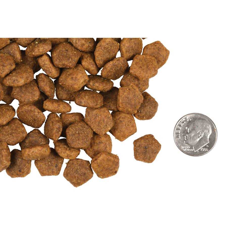 Fromm Heartland Gold Adult Dog Food - Nail Gallerys