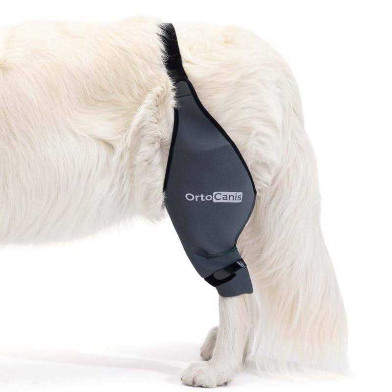 Ortocanis Knee Brace for Dogs with Cruciate Ligament Injuries, Patella Dislocation or Osteoarthritis - Nail Gallerys