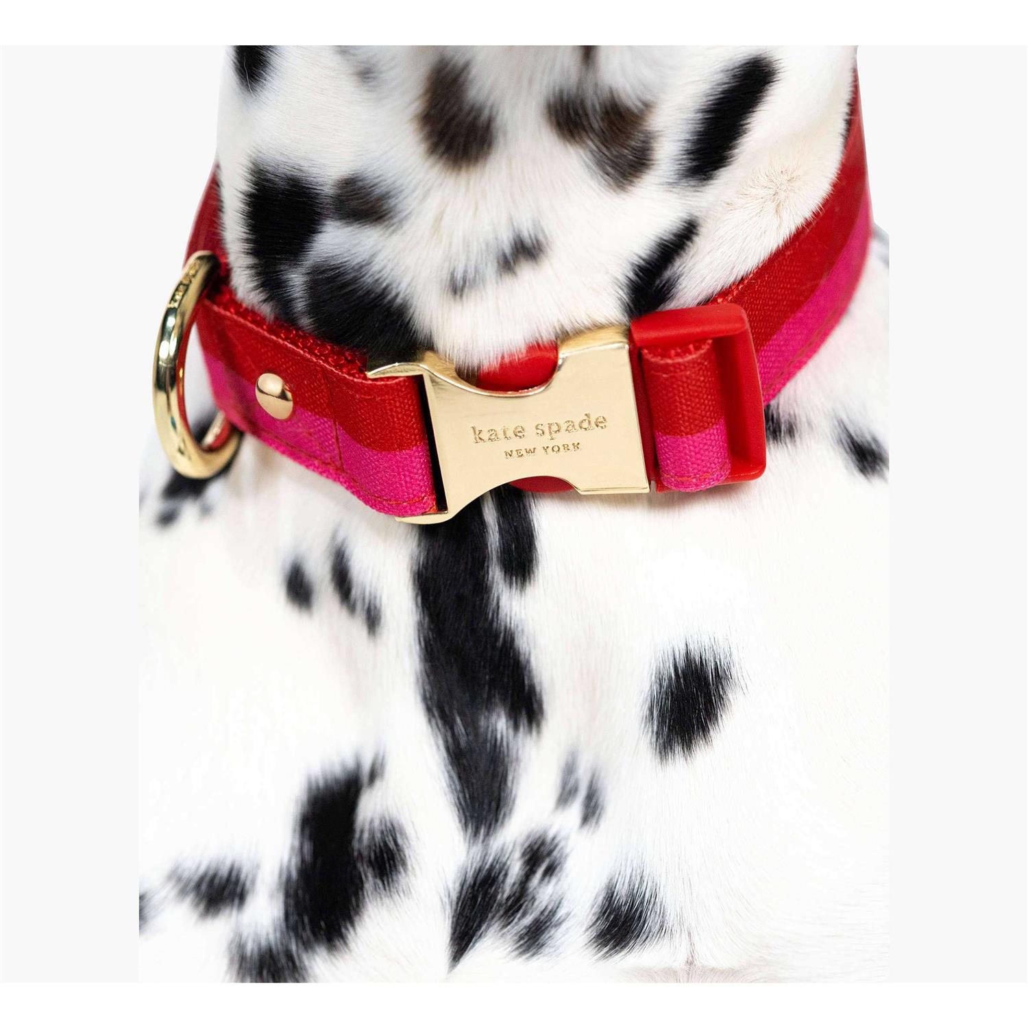 Kate Spade New York Red/Pink Colorblock Dog Collar - Nail Gallerys