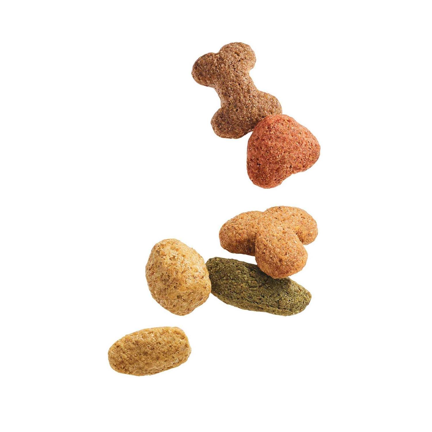 Purina Beneful Healthy Weight Dry Dog Food Chicken - Nail Gallerys