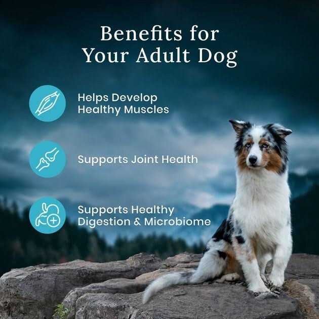 Blue Buffalo Wilderness Premier Blend Adult Natural Meaty Cuts Salmon Dry Dog Food - Nail Gallerys