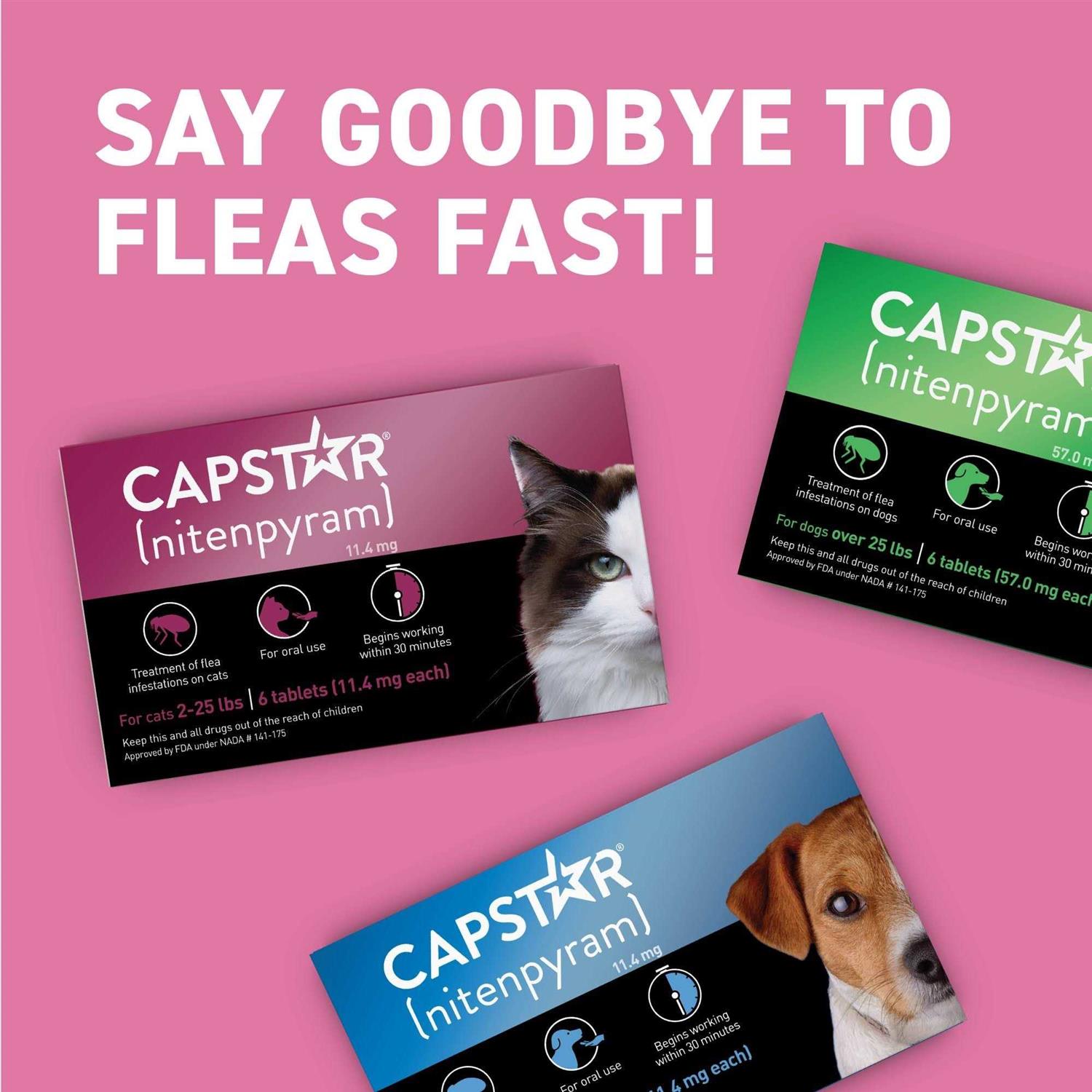 Capstar Flea Tablets for Cats 2-25 lbs - Nail Gallerys