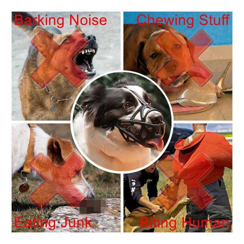 Dog Muzzle Soft Mesh Dog Mouth Cover with Adjustable Strap for Grooming Biting Chewing Barking Training - Nail Gallerys