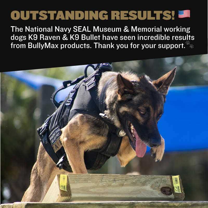 Bully Max Pro Series 11-in-1 Muscle Gain Chews - Nail Gallerys