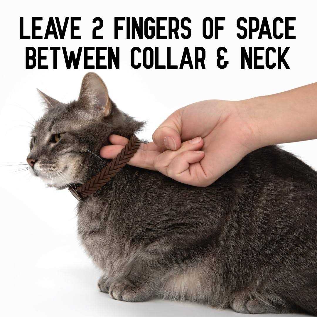 ActivPhy Hip + Joint Mobility Collar for Cats - Nail Gallerys