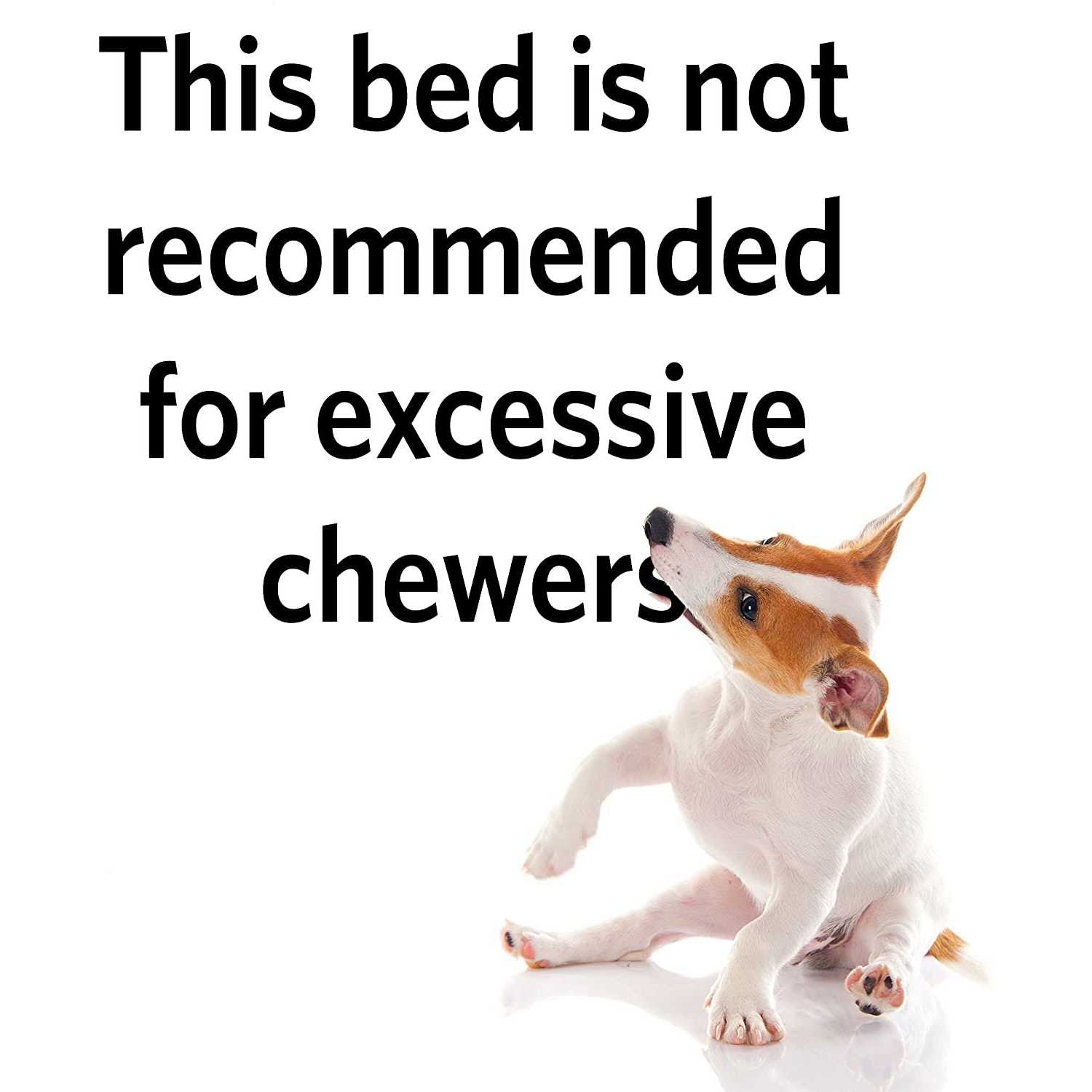 Quiet Time Maxx Pet Bed - Nail Gallerys