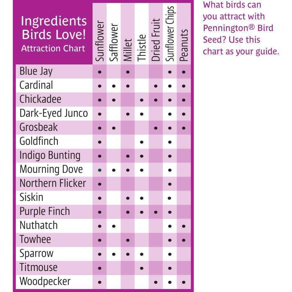 Pennington Ultra Fruit & Nut Blend Wild Bird Seed and Feed - Nail Gallerys