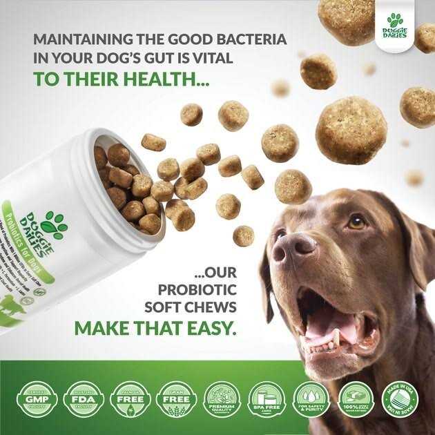Doggie Dailies Probiotics for Dogs Advanced Dog Probiotics with Prebiotics - Nail Gallerys