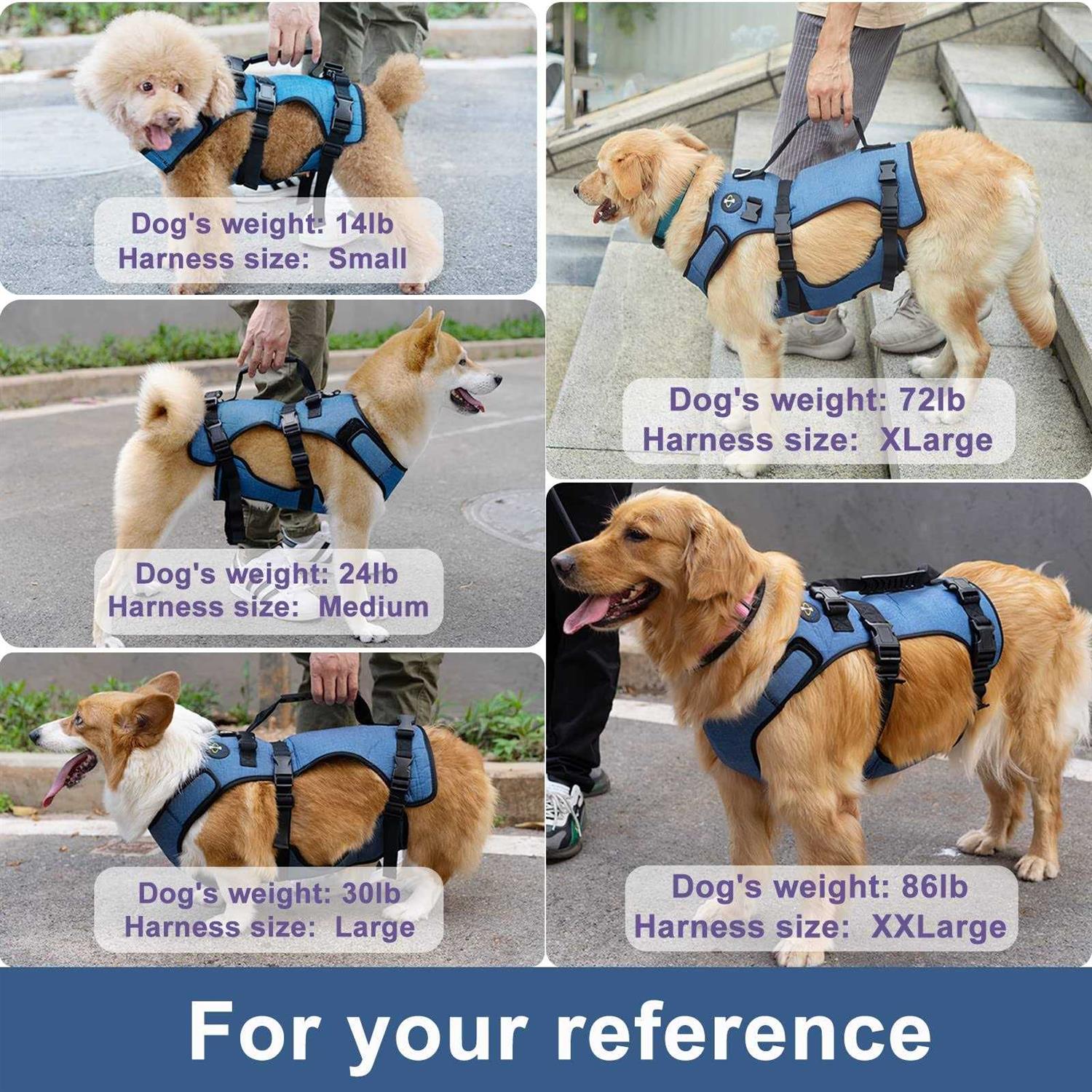 Coodeo Dog Lift Harness Support & Recovery Sling Pet Rehabilitation Lifts Vest Adjustable Breathable Straps for Old - Nail Gallerys