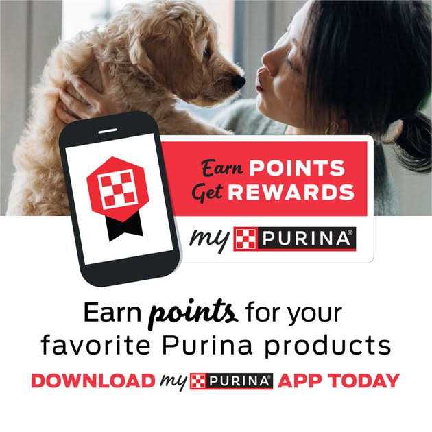 Purina Pro Plan Veterinary Diets OM Overweight Management Formula Canned Dog Food - Nail Gallerys
