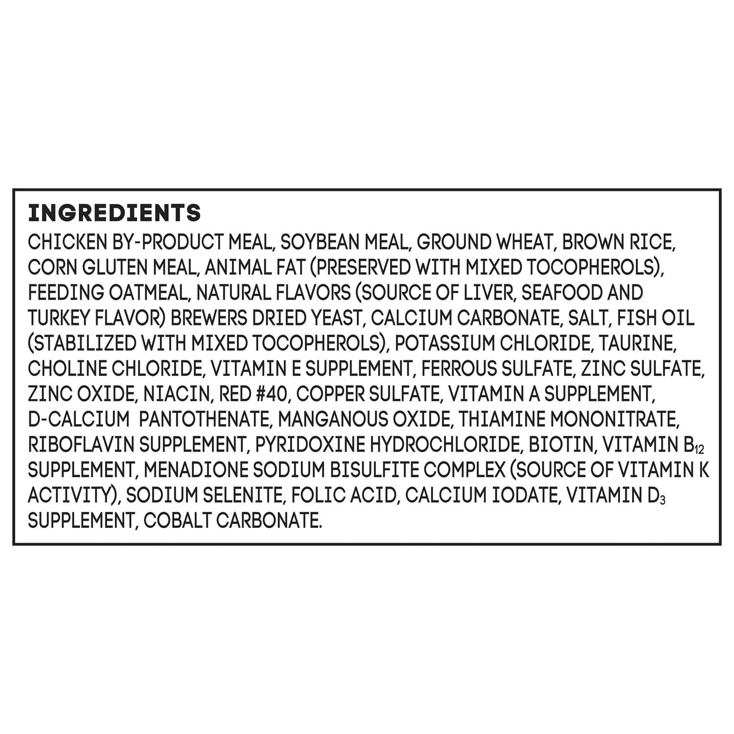 Special Kitty Kitten Formula Dry Cat Food - Nail Gallerys