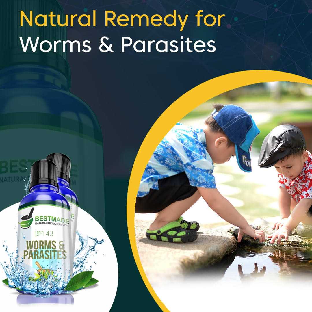 Bestmade Natural Products Worms and Parasites Remedy for Humans Bm43 - Nail Gallerys