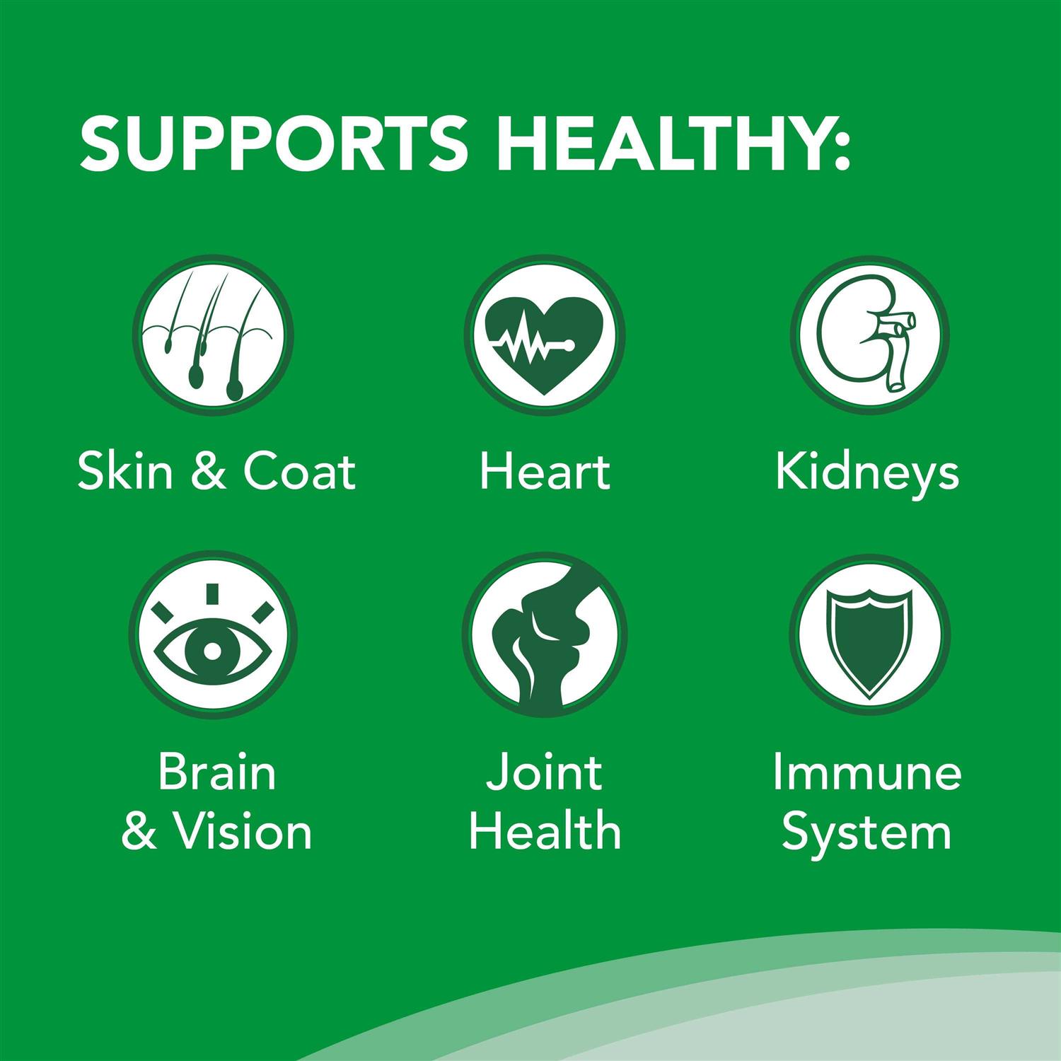 Nutramax Welactin Omega-3 Liquid Skin & Coat Supplement for Dogs - Nail Gallerys