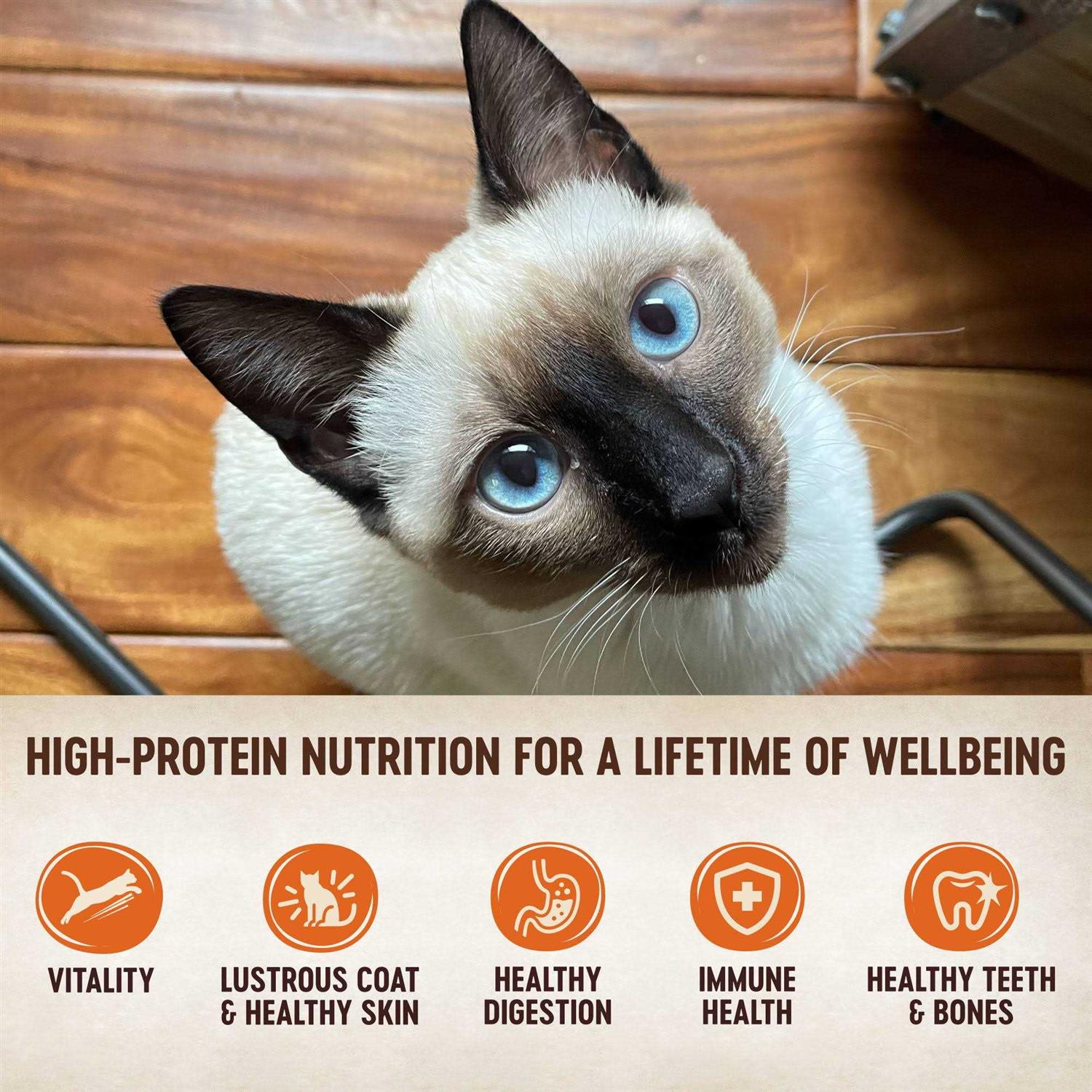 Wellness CORE Natural Grain-Free Turkey & Chicken Liver Pate Canned Kitten Food - Nail Gallerys