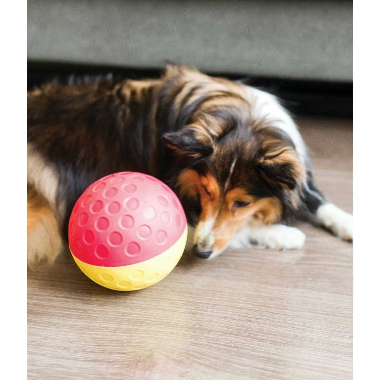 Nina Ottosson Treat Tumble Dog Toy - Nail Gallerys