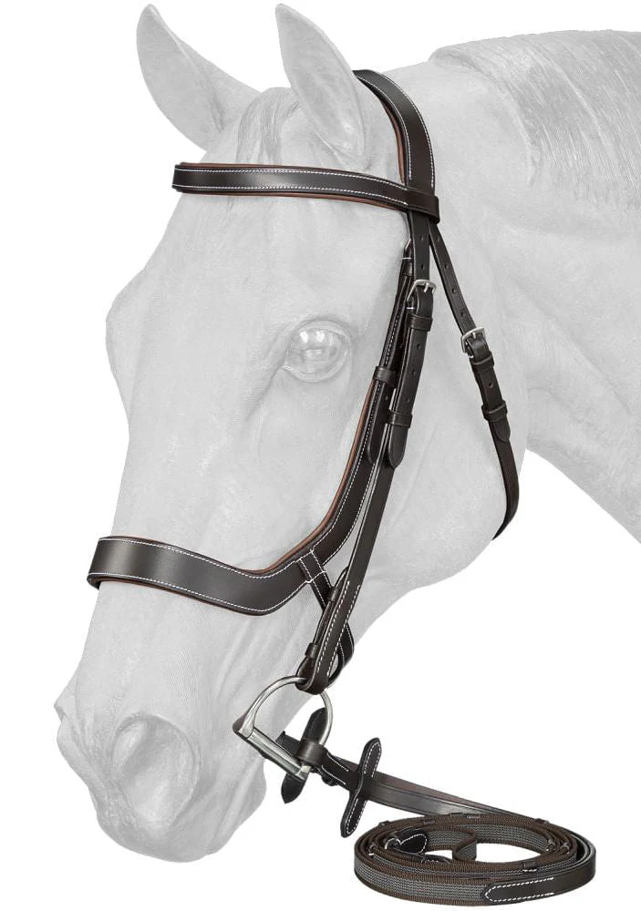 Equitare Cadence Ergonomic Bridle - Nail Gallerys