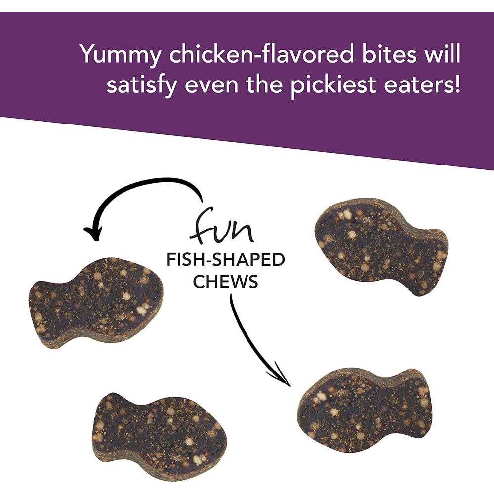 VetriScience Vetri Lysine Plus - Nail Gallerys