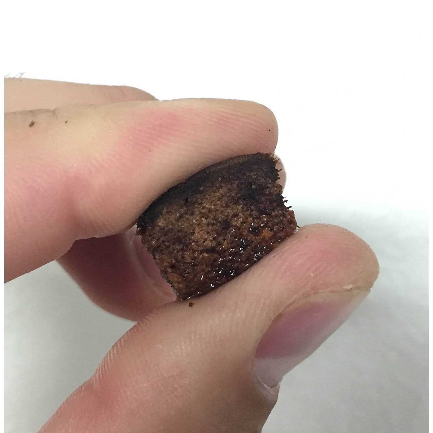 Reptichip Coconut Substrate for Reptiles Loose Coarse Coconut Husk Chip Reptile Bedding - Nail Gallerys