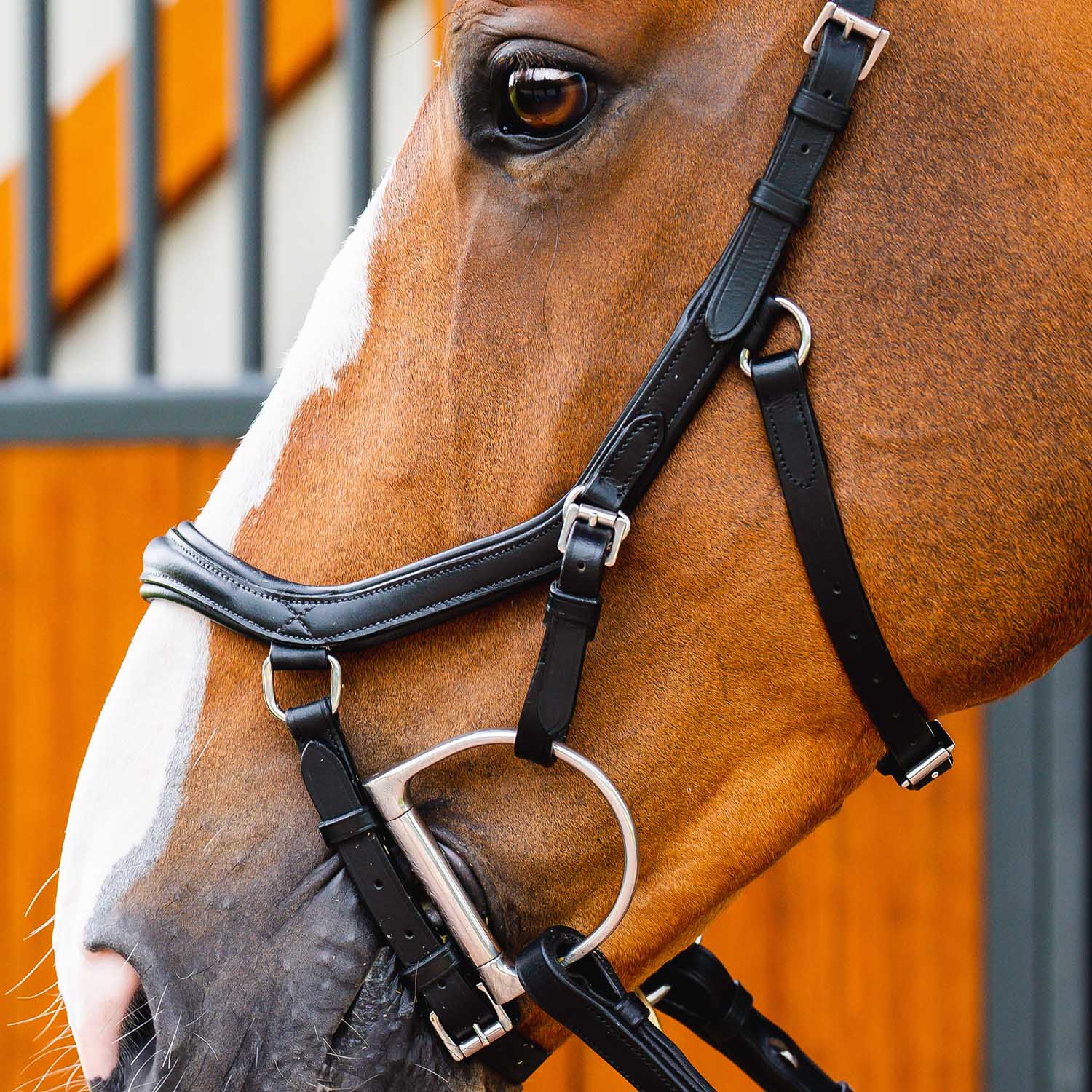 Micklem 2.0 Deluxe Competition Bridle, Black - Nail Gallerys