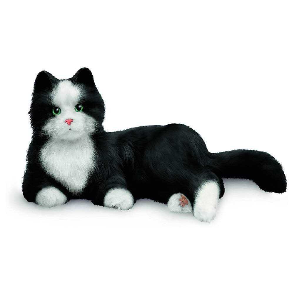 Joy For All Companion Pet Cat - Nail Gallerys