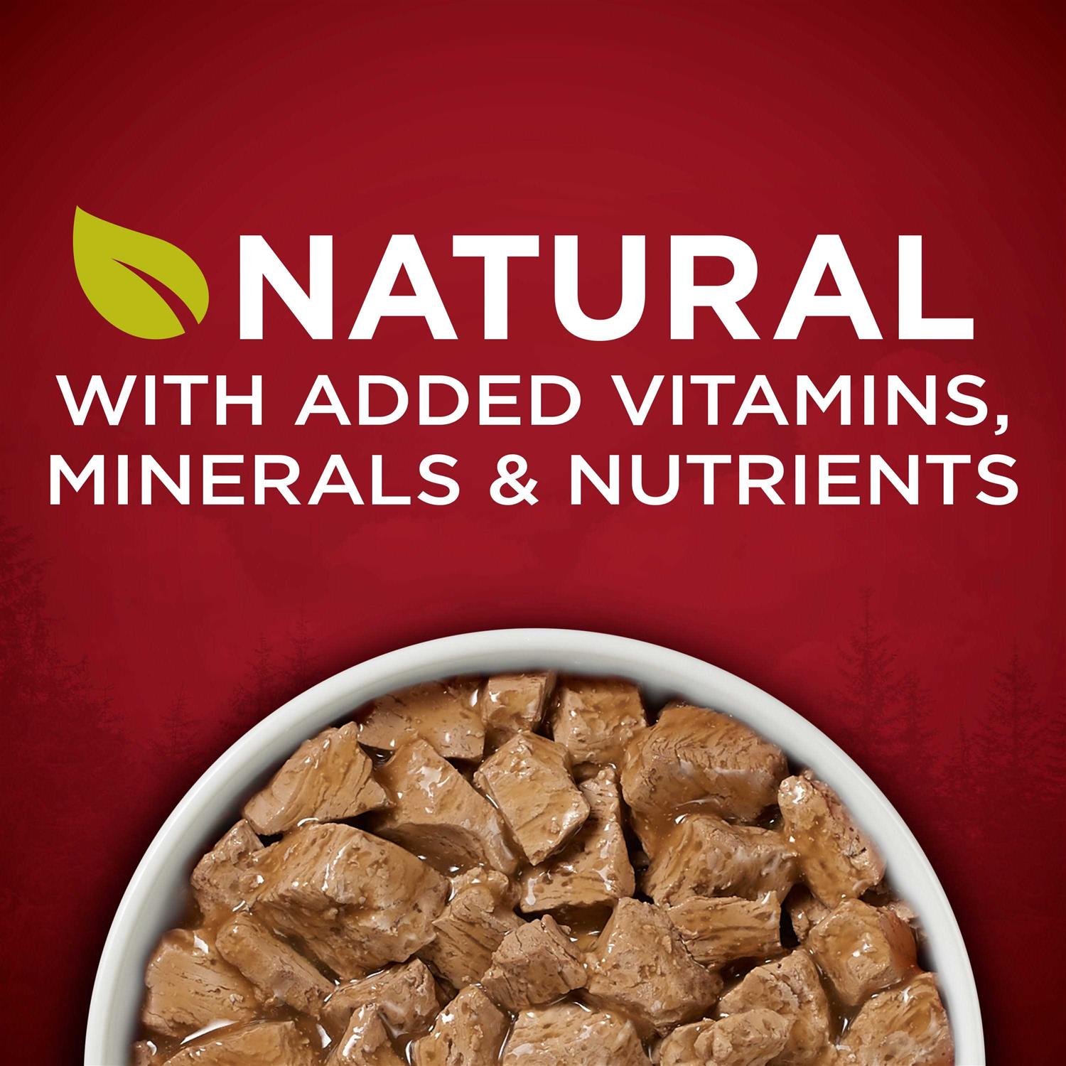 Purina ONE Smartblend Real Turkey & Venison True Instinct Wet Dog Food Can - Nail Gallerys